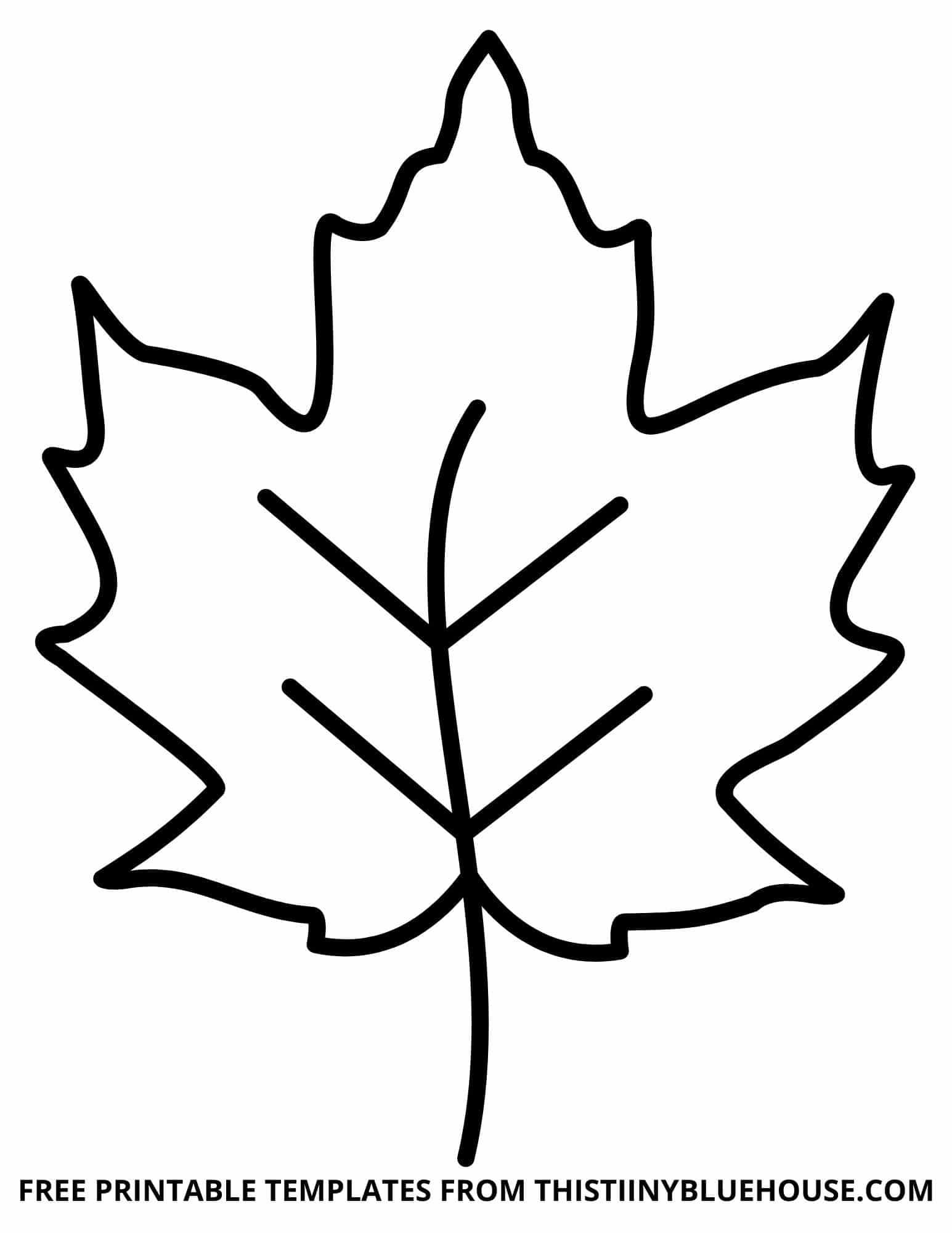 Free Leaf Template Printable 6 Sizes Of Leaf Outlines Small Medium Large Leaf Template Printable Leaf Template Leaves Template Free Printable