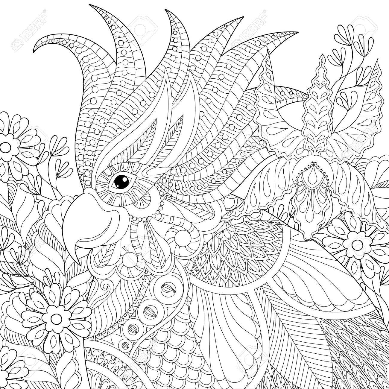 Exotic Zentangle Cockatoo Parrot For Adult Anti Stress Coloring Pages Book Bird Head With Tropical Flowers Plants For Art Therapy Greeting Card Hand Drawn Patterned Illustration Royalty Free SVG Cliparts Vectors And