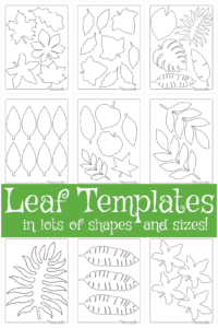 Free Leaf Templates Printable Leaf Outlines For Kids Crafts