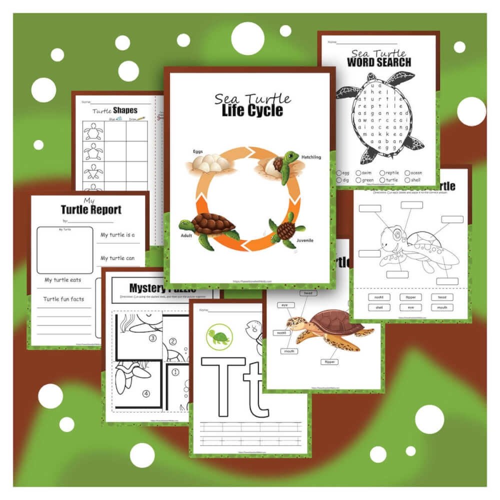 Free Printable Sea Turtle Activity Pack For Kids Hawaii Travel With Kids