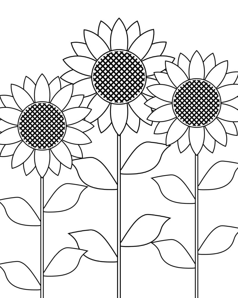 Free Printable Downloads Of Sunflowers