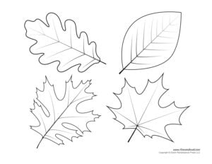 Leaf Templates Leaf Coloring Pages For Kids Leaf Printables Leaf Coloring Page Fall Leaves Coloring Pages Leaf Template Printable