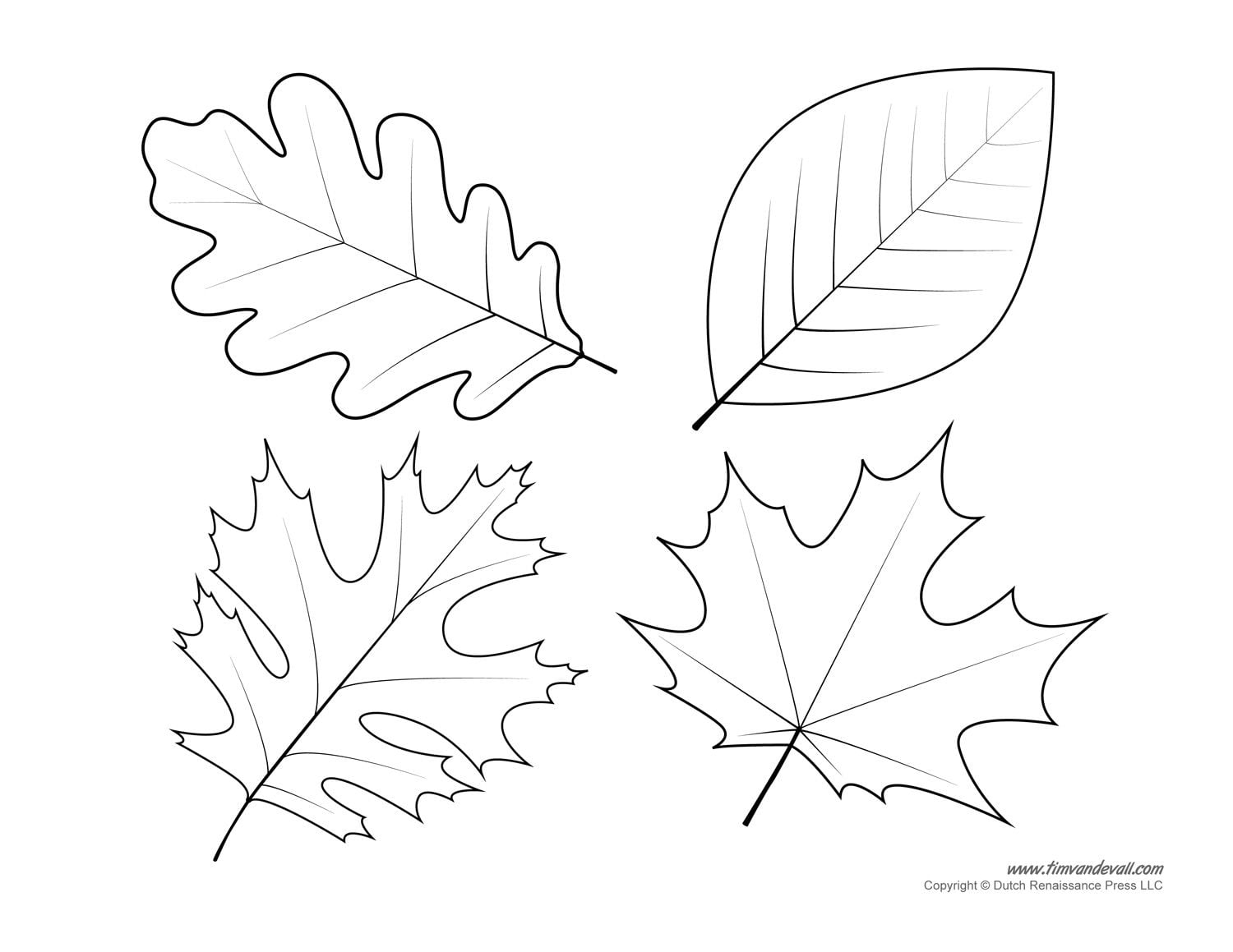 Free Printable Templates Of Leaves