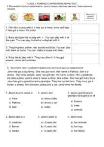 Class 3 Reading Comprehension Worksheet