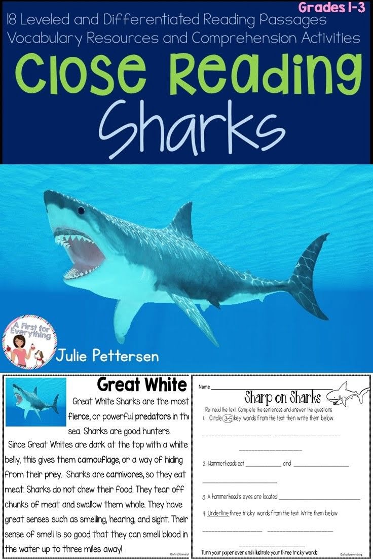 Free Shark Reading Comprehension Worksheets