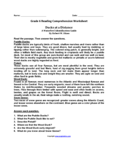 Ducks At A Distance br Sixth Grade Reading Worksheets Reading Comprehension Worksheets Comprehension Worksheets Reading Comprehension