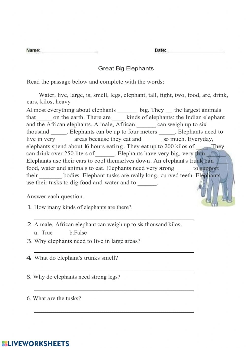 Elephants Reading Comprehension Worksheets