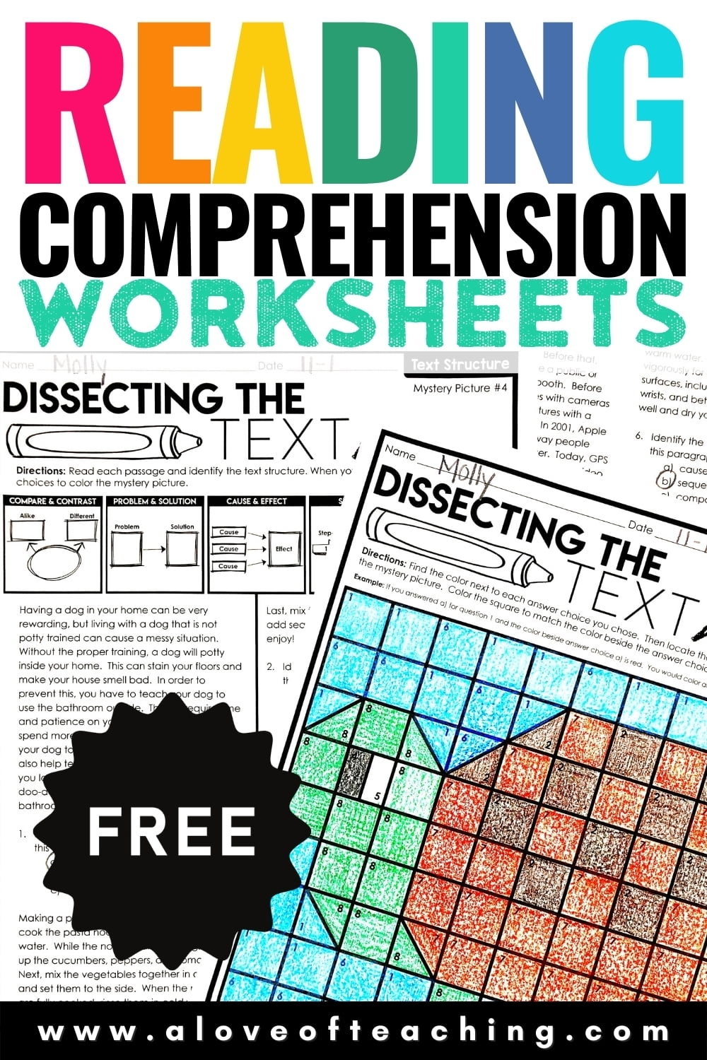 FREE Reading Comprehension Practice Worksheets A Love Of Teaching Kim Miller