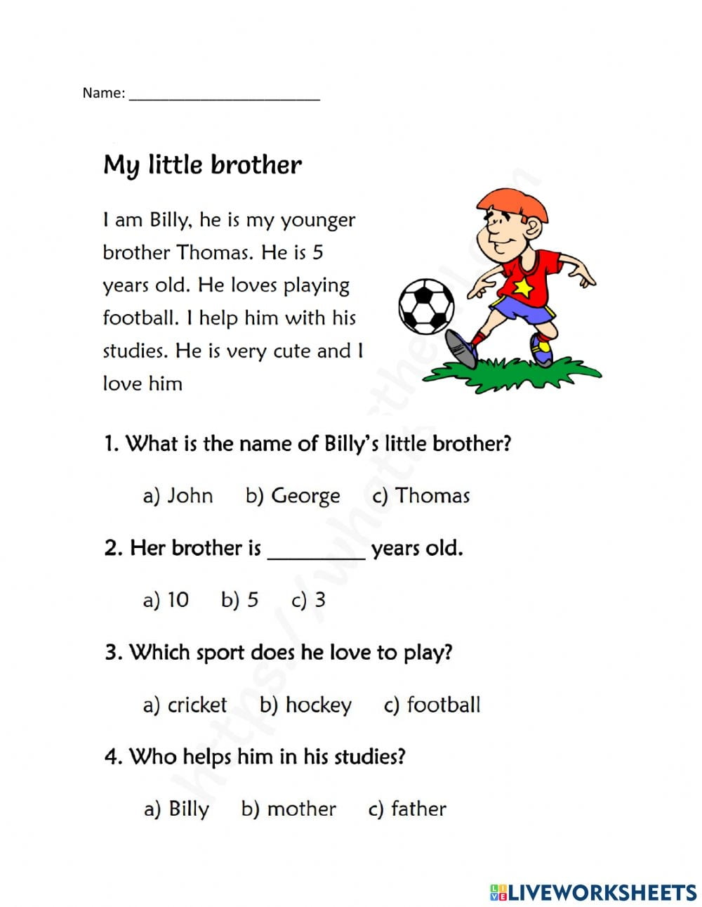My Little Brother Worksheet