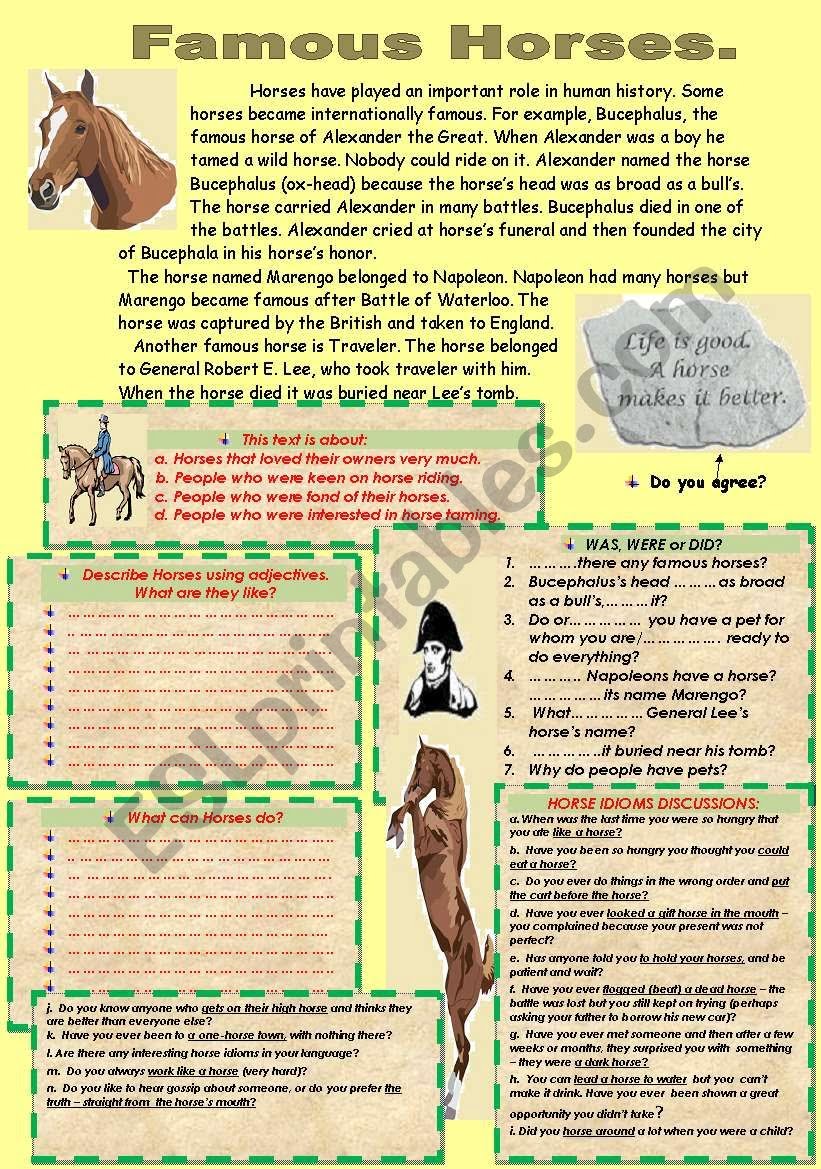 Horse Reading Comprehension Worksheets