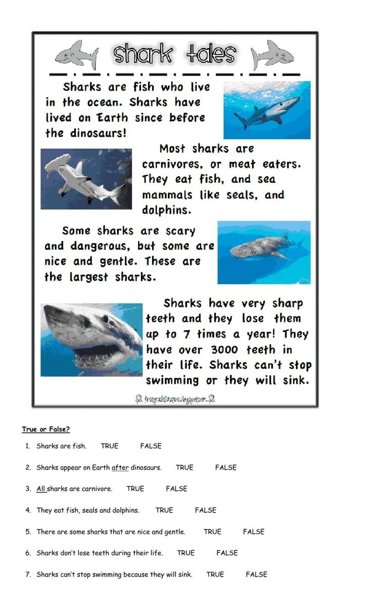 Free Shark Reading Comprehension Worksheets