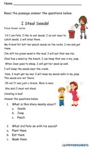 Reading Comprehension Long Vowel Ee Worksheet