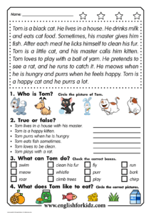 Reading Comprehension Worksheets Thomas The Cat