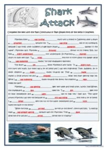 SHARK ATTACK Reading For Detail dee English ESL Worksheets Pdf Doc