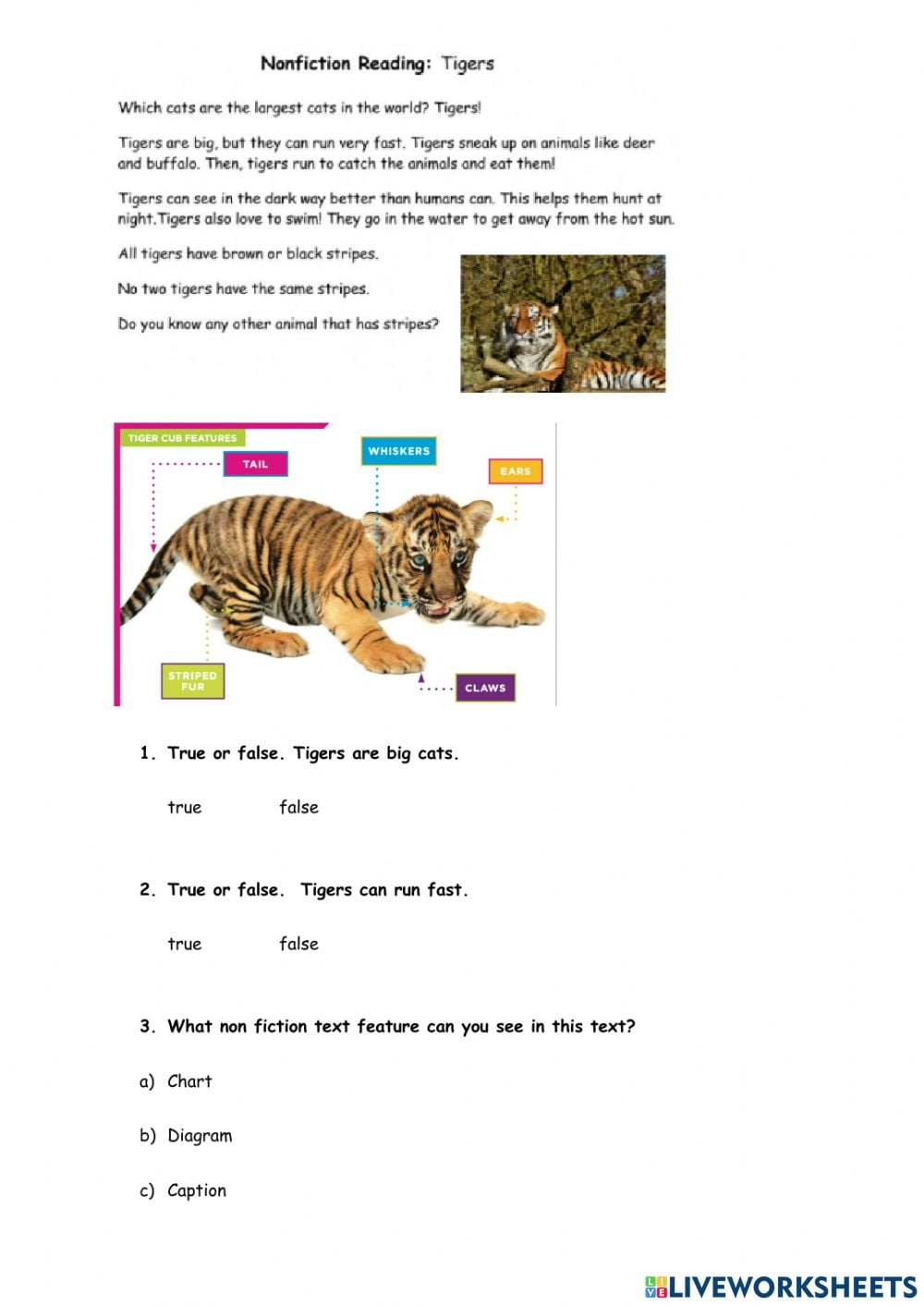 Tigers Online Worksheet