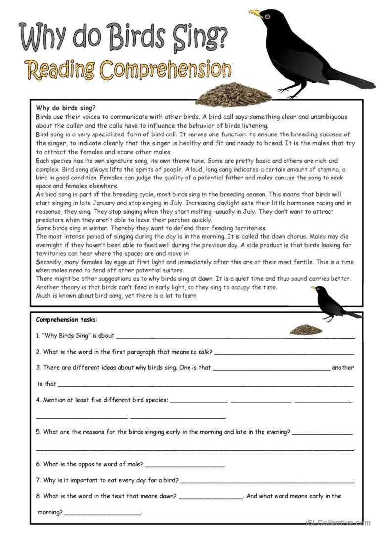 Birds Reading Comprehension Worksheets