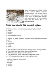 Winter Reading Comprehension Worksheet