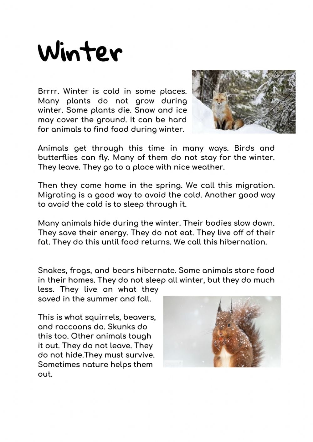 Winter Reading Comprehension Worksheet