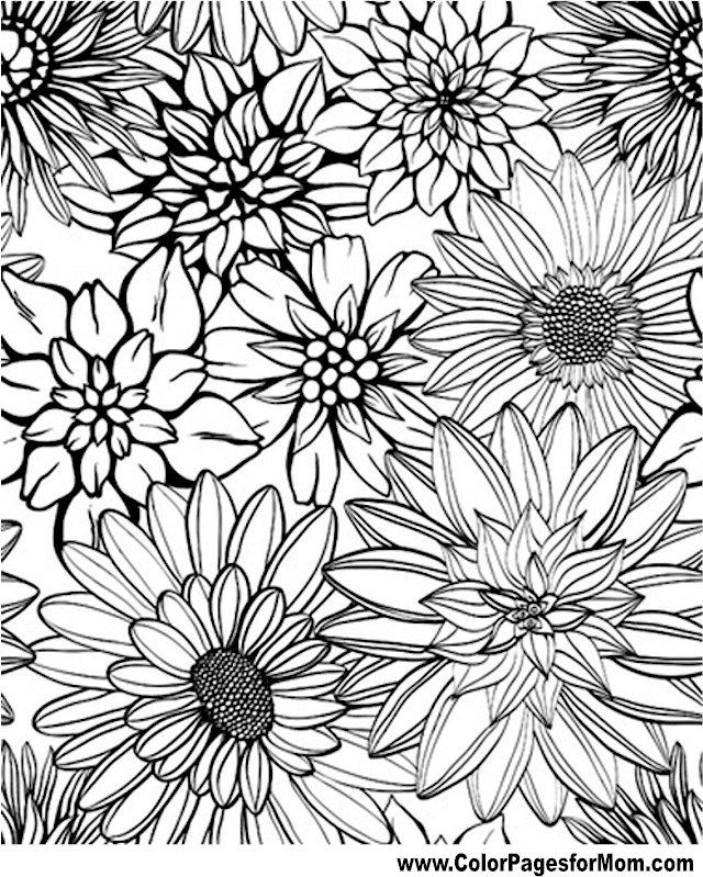 15 Fantastic Free Colouring Pages For Adults Flower Coloring Pages 