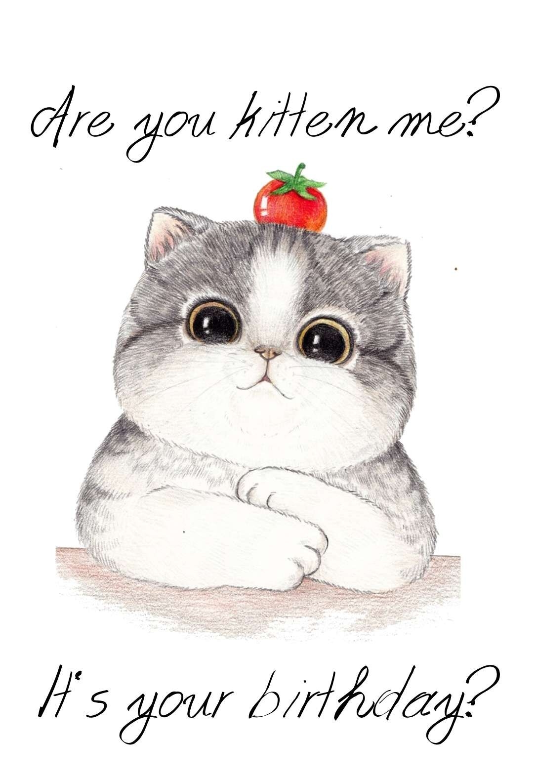 20 Cat Printable Birthday Cards free PRINTBIRTHDAY CARDS