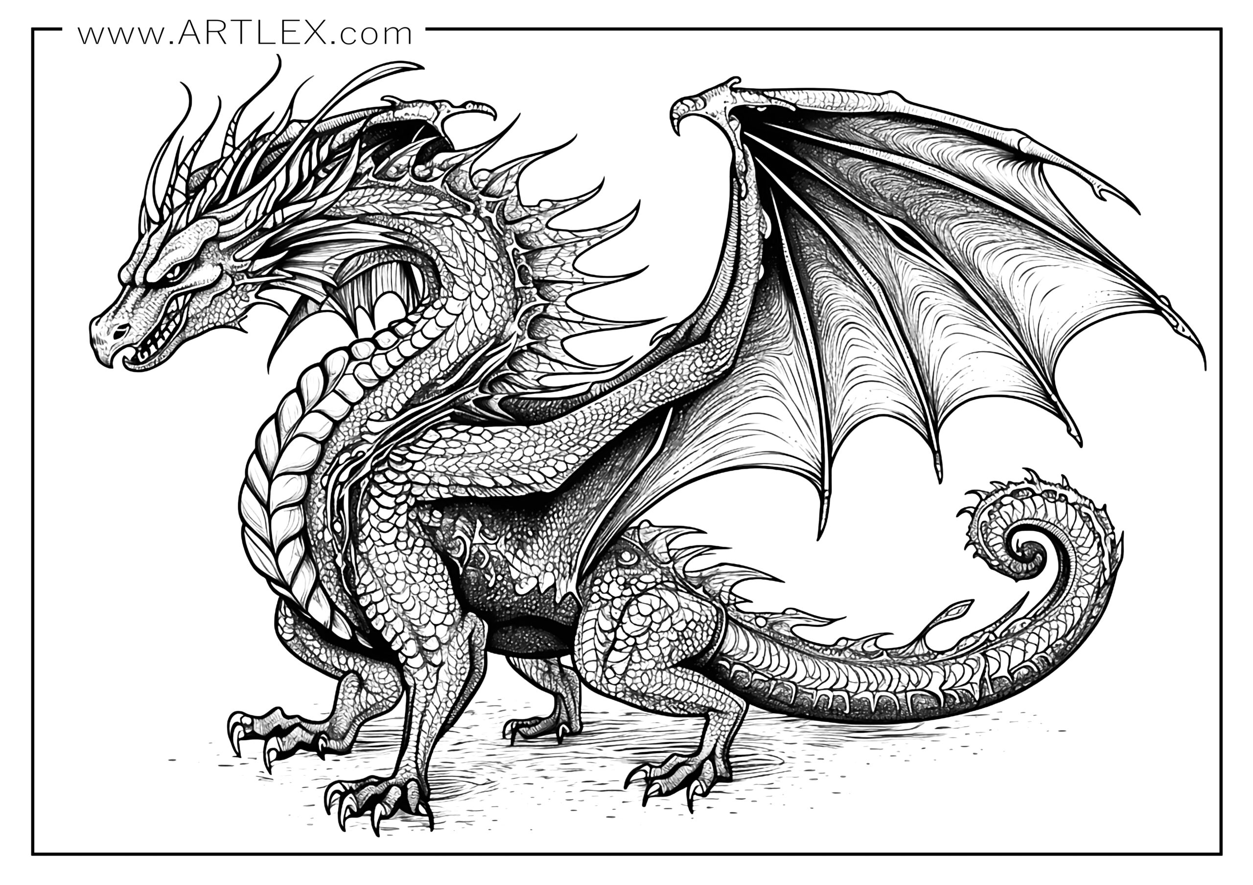 Coloring Pages Of Dragons Free Printable Template