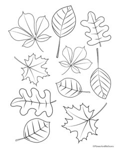 Coloring Pages Of Fall Leaves Coloring Pages