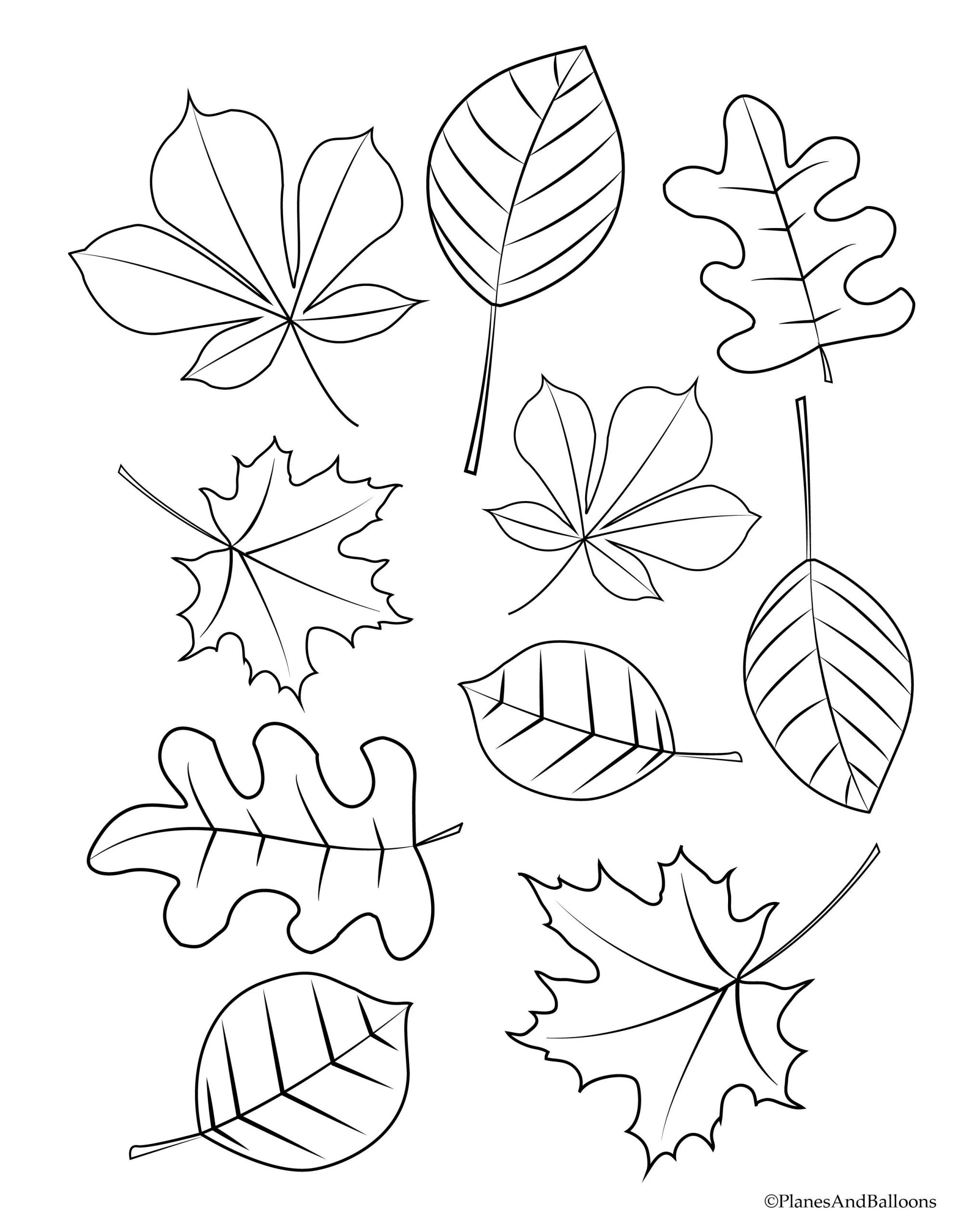 Coloring Pages Of Fall Leaves Coloring Pages
