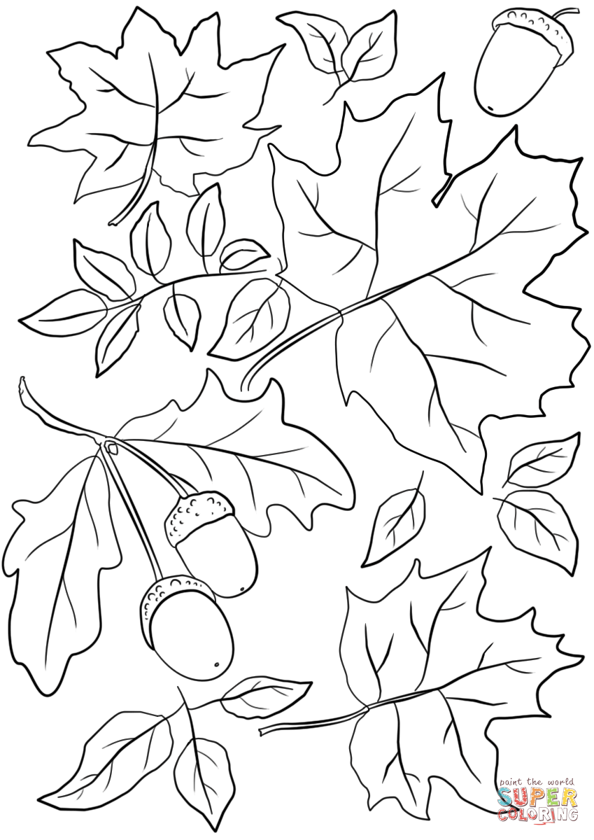 Free Printable Fall Leaves Coloring Pages At GetColorings Free 