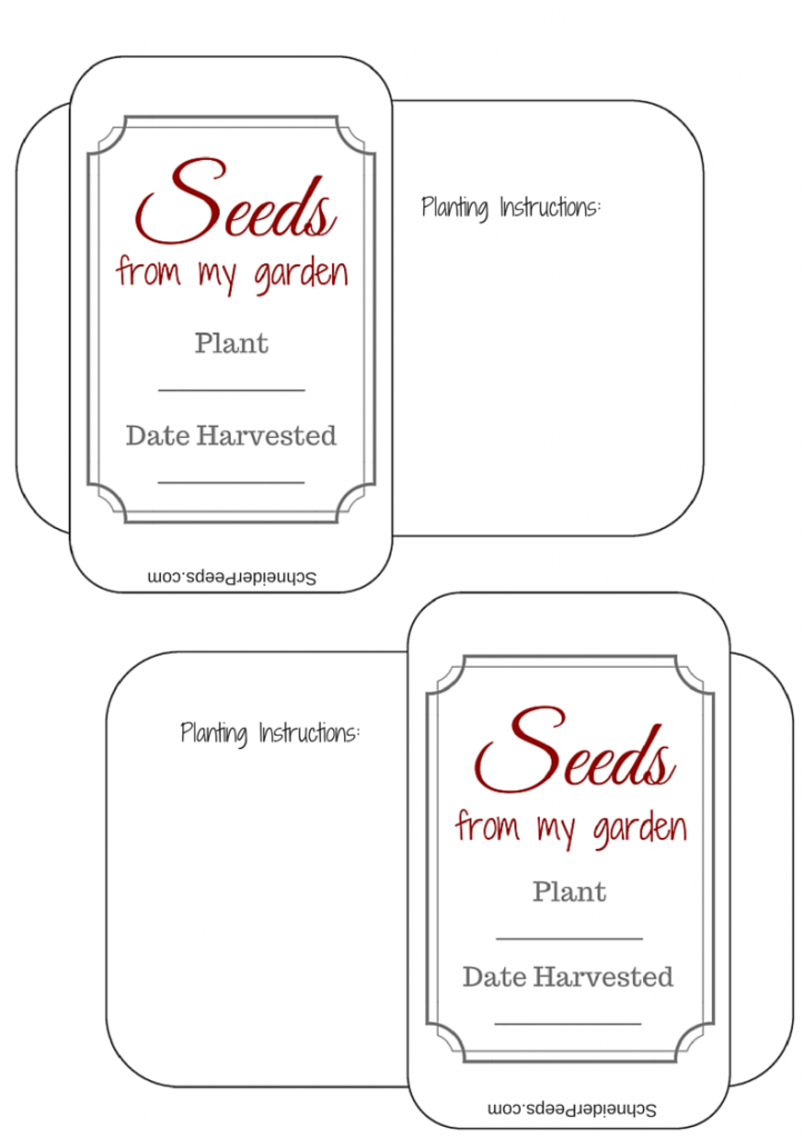 Free Printable Printable Seed Packet Template