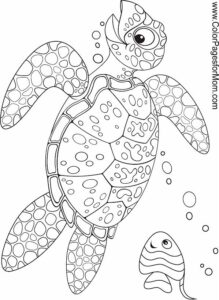 Free Printable Sea Life Ocean Animals Coloring Pages Printable New