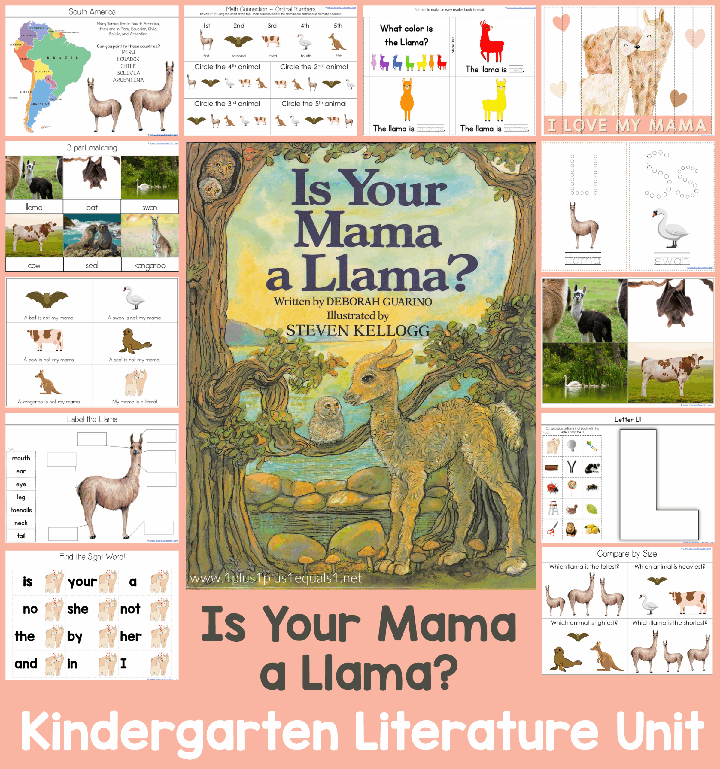 Is Your Mama A Llama Kindergarten Literature Unit 1 1 1 1
