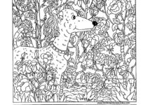Hidden Picture Puzzles For Adults Printable Free