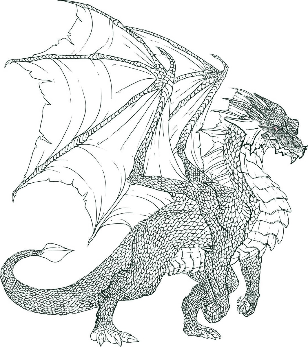 Printable Realistic Dragon Coloring Pages