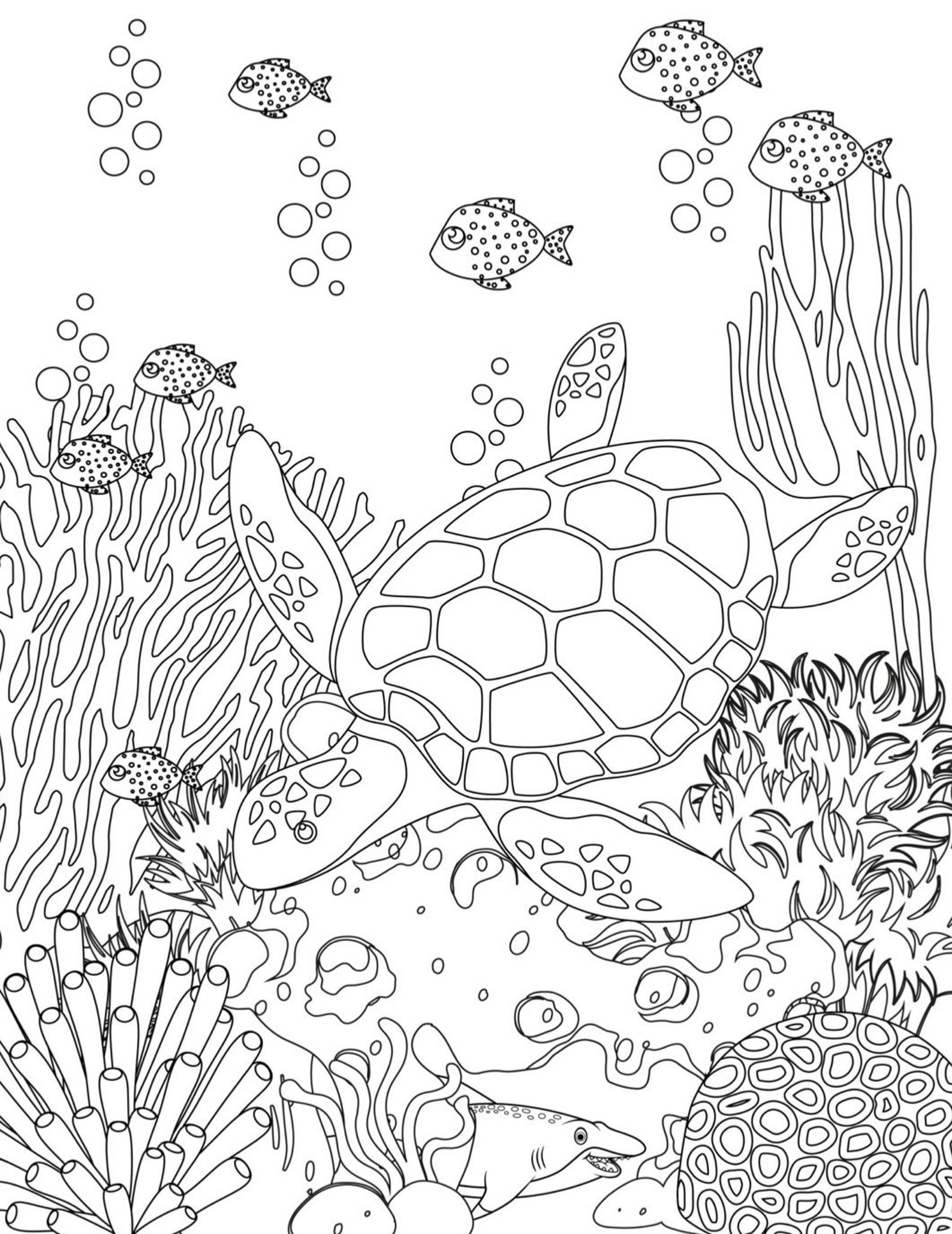 Sea Life 10 Printable Coloring Pages digital Download fun Etsy