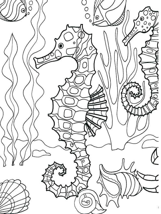 Sea Life Coloring Pages At GetColorings Free Printable Colorings 