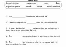 Free Printable 6Th Grade Science Worksheets