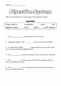 13 6 Grade Science Worksheets Free PDF At Worksheeto