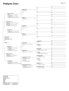 15 Generation Family Tree Template