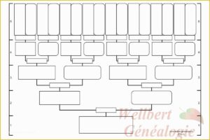 15 Generation Family Tree Template