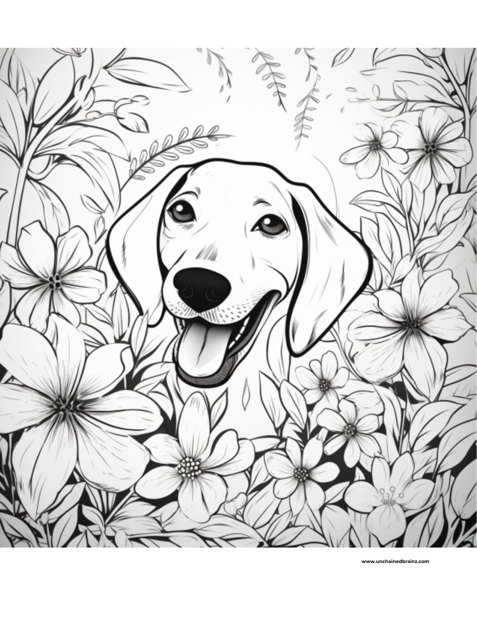 150 Dementia Friendly Easy Coloring Pages For Dementia Patients 