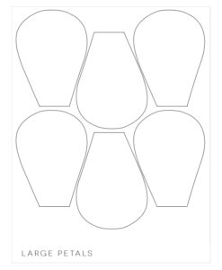 20 Flower Petal Templates PDF Vector EPS