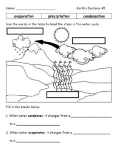200 Science Worksheets For Second Grade By TechieSandy TPT