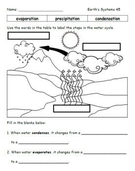 200 Science Worksheets For Second Grade By TechieSandy TPT