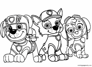25 Rocky Paw Patrol Coloring Pages Free Printable For Kids And Adults