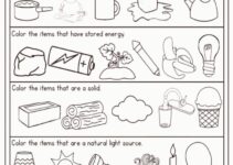 Free Printable 2Nd Grade Science Worksheets