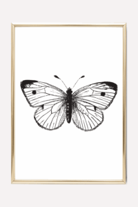 30 Free Art Printables Black White Plus Color Cute And Modern