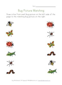31 Best Images About Preschool Bugs Insects On Pinterest Insects
