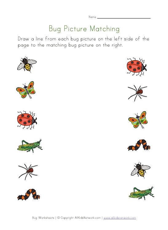 31 Best Images About Preschool Bugs Insects On Pinterest Insects 