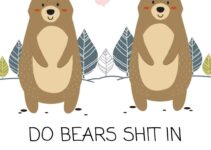 Free Printable Funny Birthday Cards For Husband