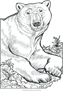 Animal Coloring Pages Printable